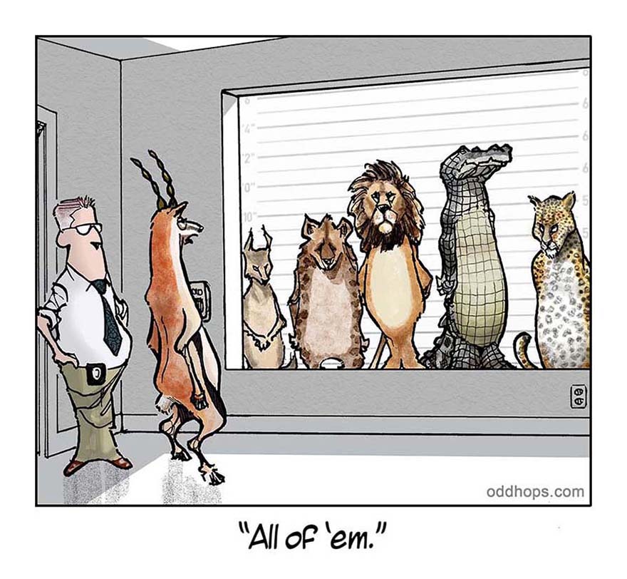 A gazelle looks at a lineup of predators and says, "All of them."